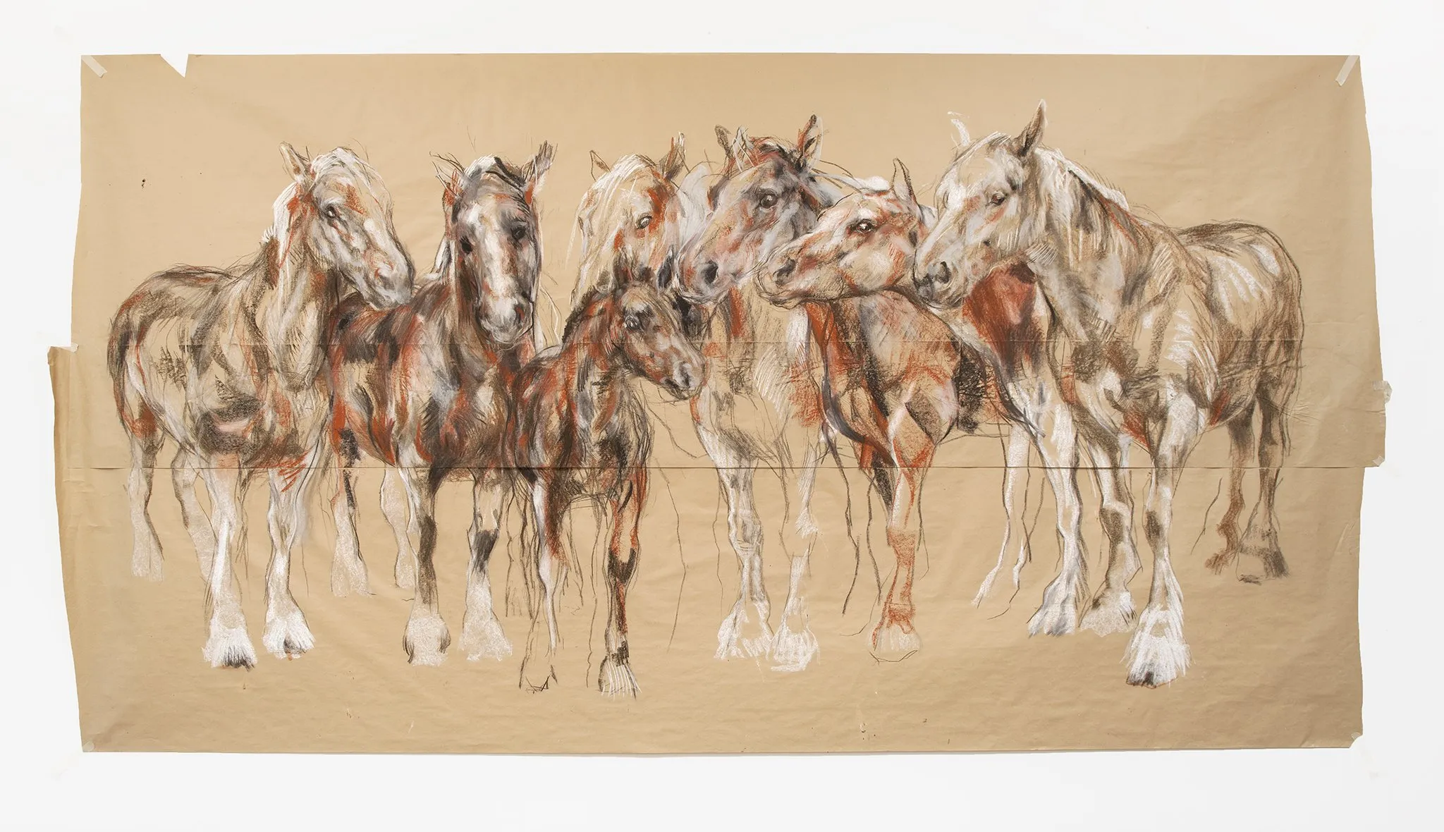 Nicola Hicks Horses
