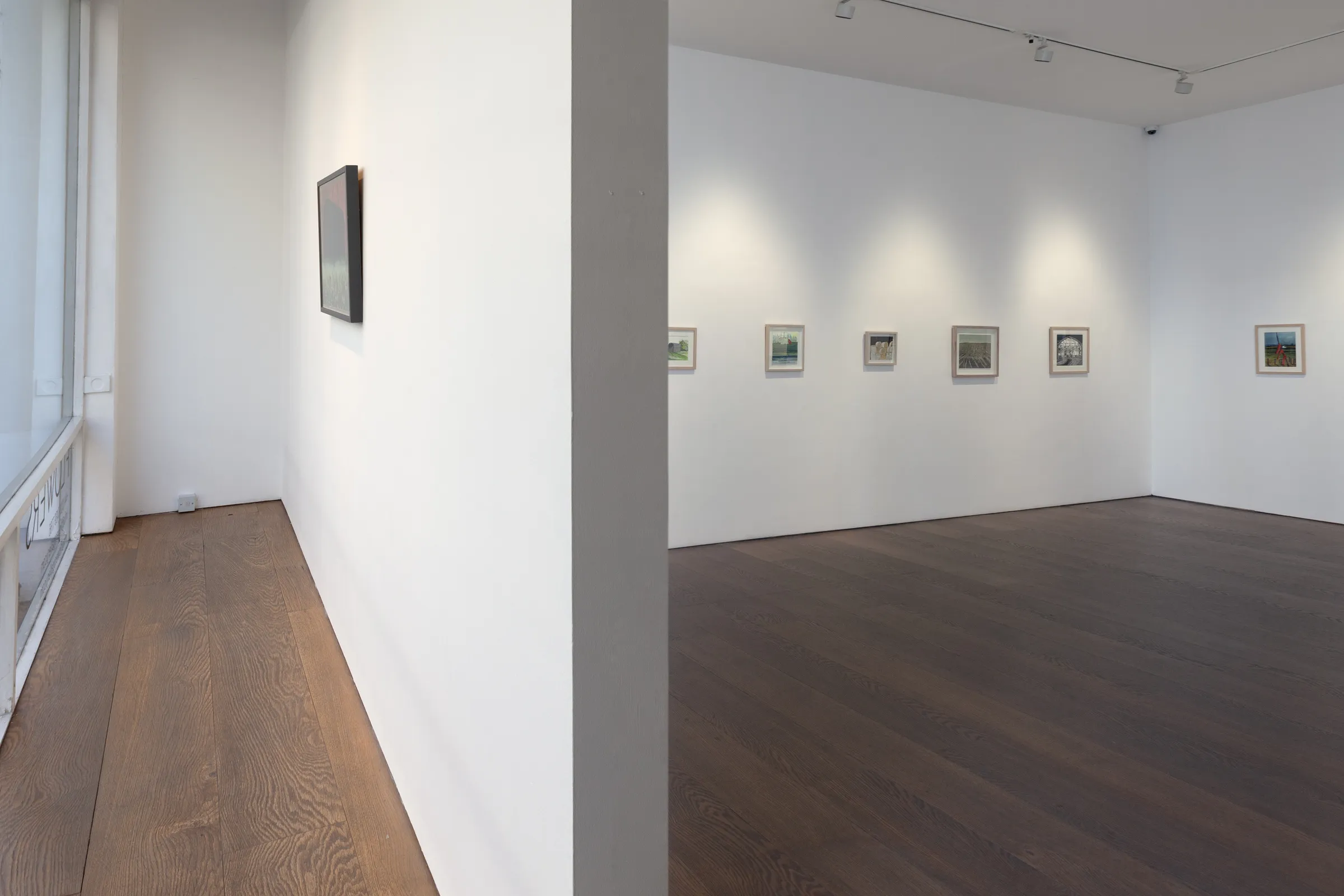 Paula Pohli Artist of the Day 2024