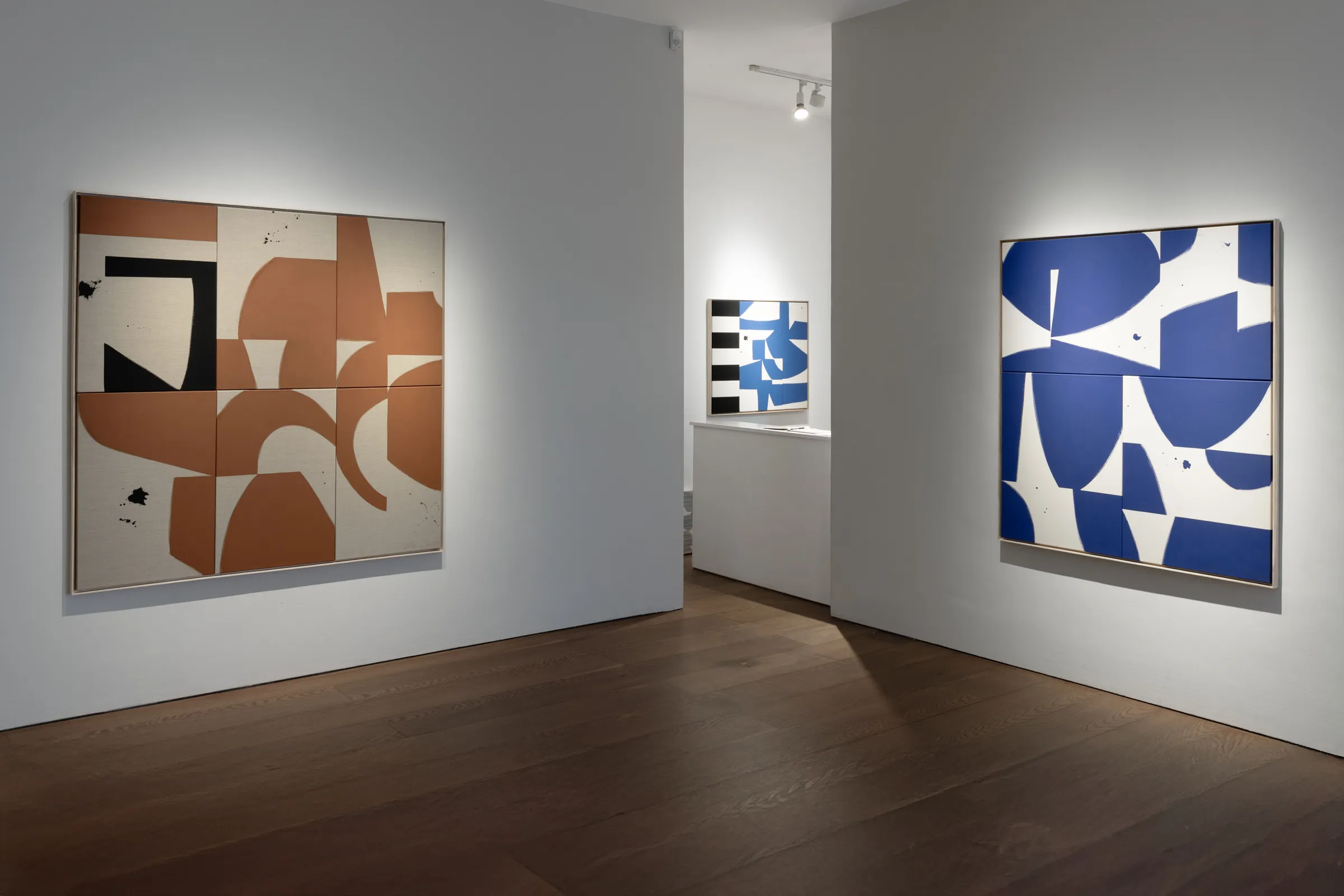 Liza Giles In Flux